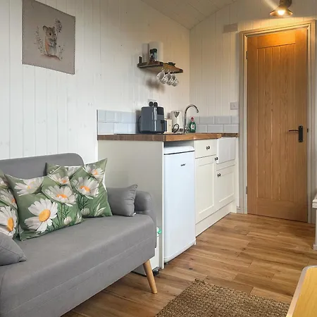 Spring Meadow Shepherds Hut